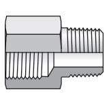 Pipe Adapter - NPT/NPTF to BSPP - Straight